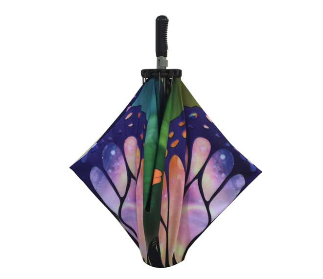 ShowFlex Tabletop Series-C - Image 4